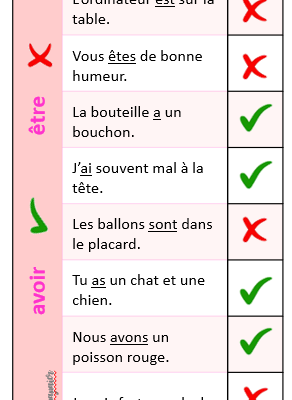 Vrai Faux CE1: être ou avoir