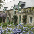 Le charme apportera de la valeur à notre maison 