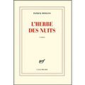 L'herbe des nuits ---- Patrick Modiano