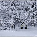 Le Courrier des Lutins des Bois