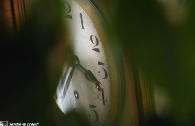 Les changements heure-d'été et heure-d'hiver...