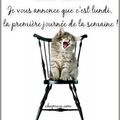 bonjour les gens et oui nouvelle semaine, boulot,