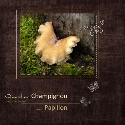 Champignon-Papillon