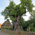 DE THAON LES VOSGES A PUTBUS, à la découverte du patrimoine arboré et touristique de l'Allemagne. Jour 2 : 19/06/2019. 6H 45.