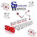 We wish you a HAPPY NEW YEAR 2015 ...