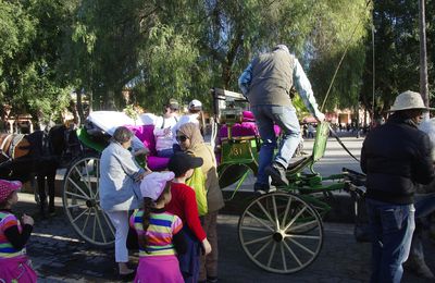 07/03/2014 : MARRAKECH