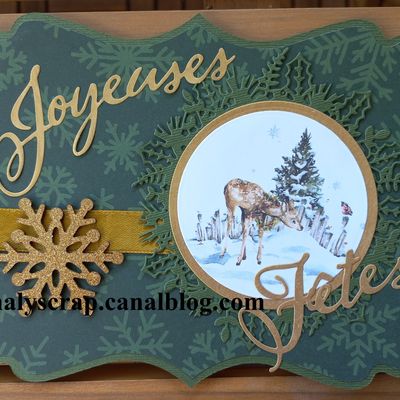 Cartes de voeux - 05 - formes originales et image ronde