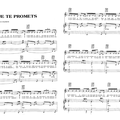 Je te promets - Johnny Hallyday (Partition - Sheet Music)