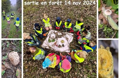 Sortie nature en forêt en Maison des Enfants 14 nov 2024