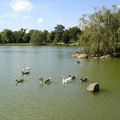 3ème randonnée: circuit de 8 km autour de Bény Bocage (14)