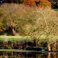 Une barque