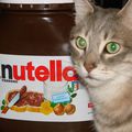 Nutella ou chat !