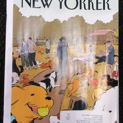 La presse aux USA cinquante ans après