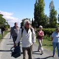 Ateliers vendanges 2010