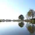 EGLINGEN -  reflets d'automne sur le canal 