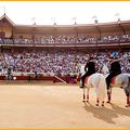 ARÈNES DE BAYONNE 2024