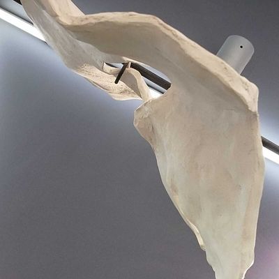 Etats de corps exposition