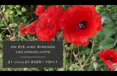Un été avec Simenon - Mare Tranquillitatis