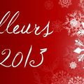 BELLE ANNEE 2013 A TOUS