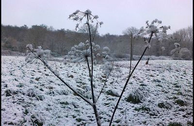 L'hiver est là ! (...ah bon ?)