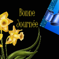 Bienvenue à la Fête des Jonquilles.....