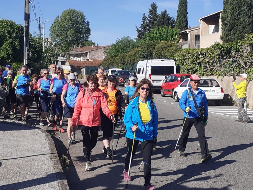 Faites défiler les photos à l'aide de la flèche
