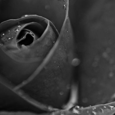 Photos en noir et blanc!!