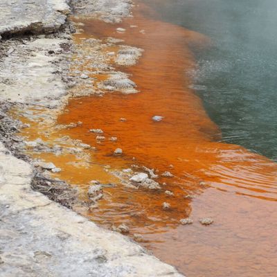 NORTH NEW ZEALAND: le centre géothermique #4