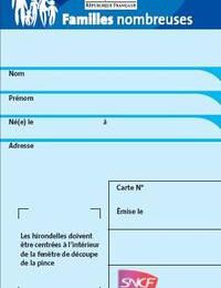 SNCF/Etat: Carte familles nombreuses maintenu...