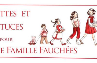 "Recettes et astuces pour mères de famille fauchées"