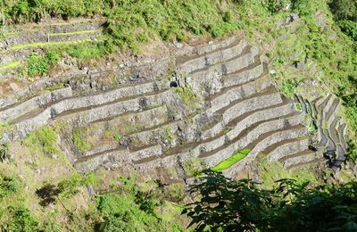 Voyage aux Philippines - Randonnée sur la piste des crètes de Batad à Bangaan