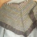 Pine Barrens Shawl (à moitié)