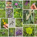 sorties en forêt de janvier à avril 2025 avec la classe de Maison des Enfants