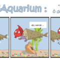 L'aquarium n°2