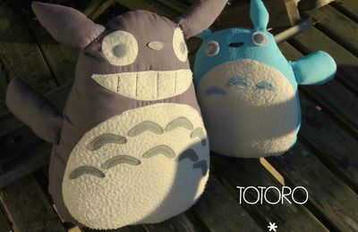 Totoro's story
