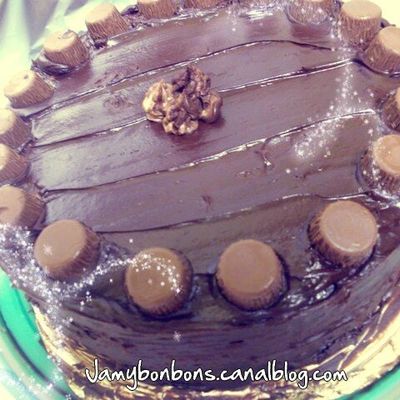 Gros gâteau au chocolat 