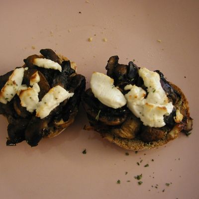 tartine forestière