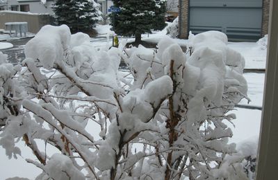 In Colorado, it was springtime...