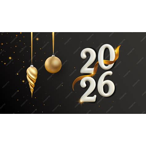 Meilleurs Voeux 2026