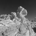 Parc naturel régional du Pilat: autour du Crêt de la Perdrix après la tempête.