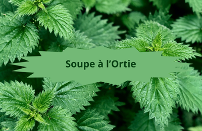 01/1- La Soupe à l'Ortie...