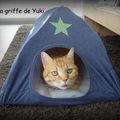 Cabane pour Yuki