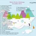 Challenge photo novembre