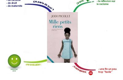 Mille petits riens, de Jodi Picouli