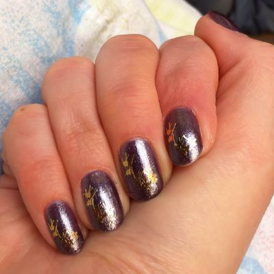 Tites fleurs sur Alias