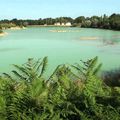 Sortie au parc forestier du lac bleu à Léognan