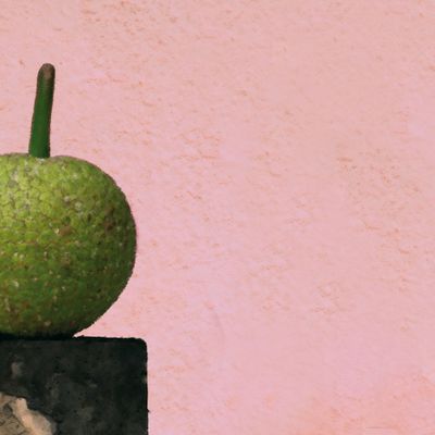 propositions pour tableau carré ARTOCARPE