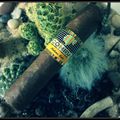 Cohiba "Medio Siglo"