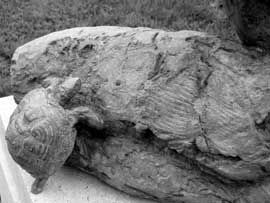 COURS ET STAGES AVEC LA PEPINIERE D'ART