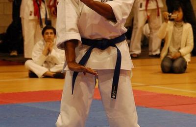 International Goju Karate Cup 2008... les photos